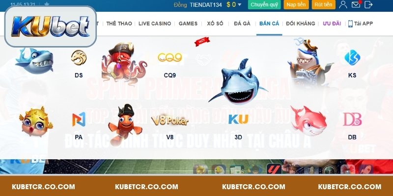 Hệ thống sảnh săn cá hấp dẫn hàng đầu Kubet
